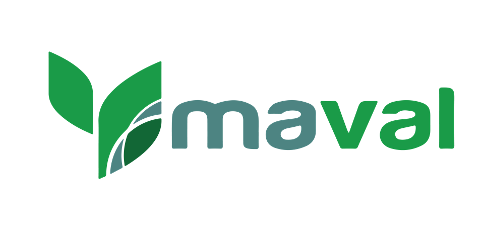 Maval